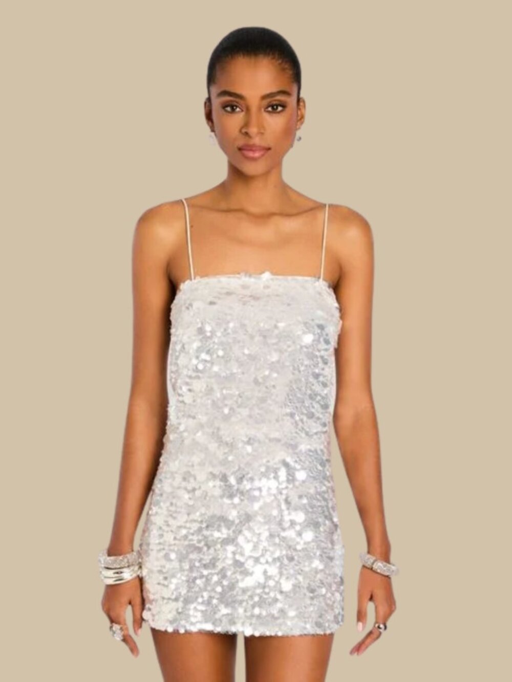 retrofête Eleanora Sequin Dress Silver M NWT